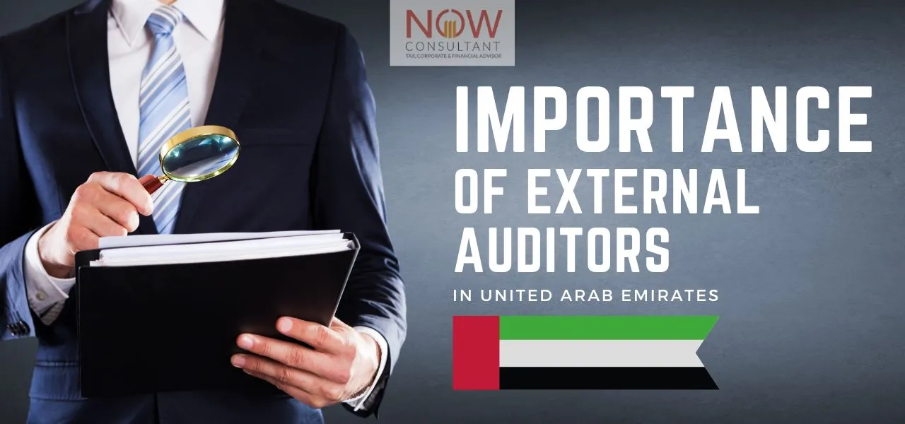 telling what is the importance of external audit firms in uae.