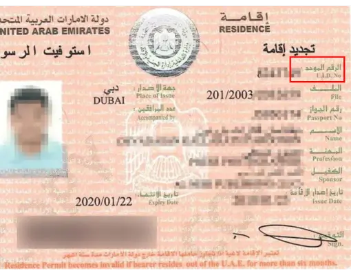 UID Number UAE Example